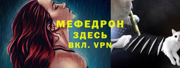 МДПВ Богородск