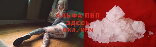 дживик Бородино