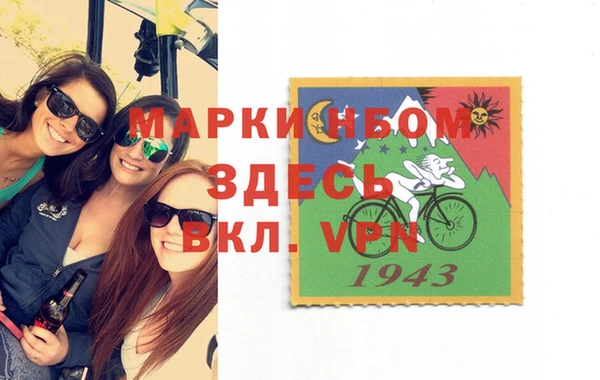 дживик Бородино