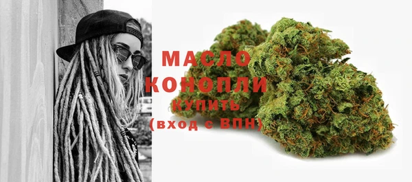 дживик Бородино