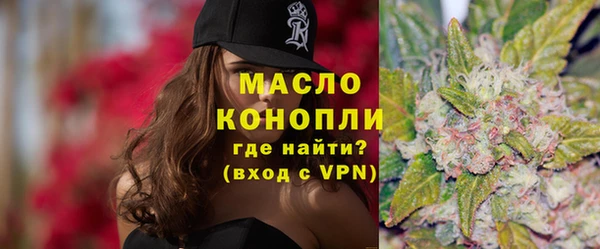 дживик Бородино